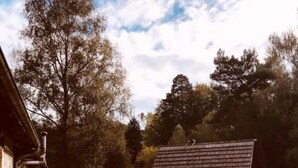 A wooden deck leading to a rustic building with a sloped roof, surrounded by trees and a grassy area. - Moulin de Lachaud (Sainte-Fortunade)