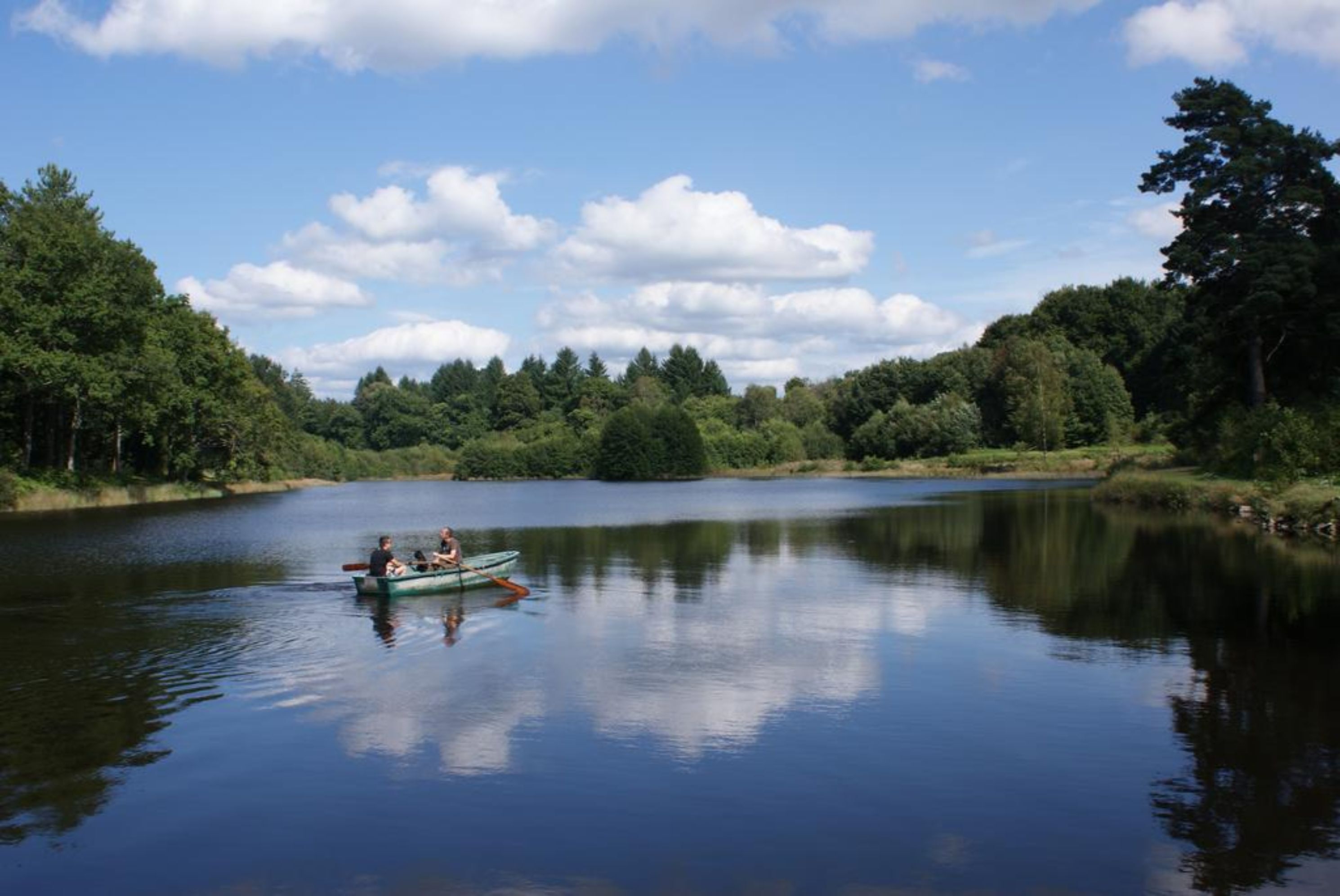 A calm lake with a boat carrying people, surrounded by dense forest and clear skies.