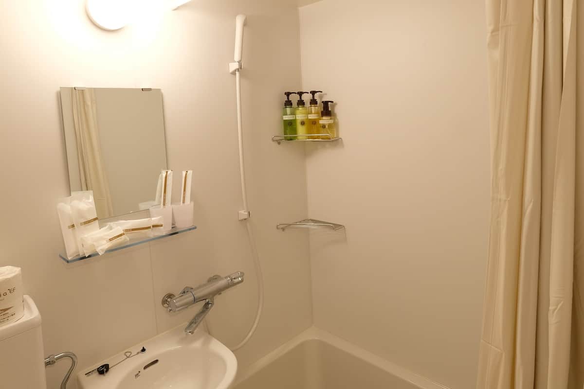 combined shower/bathtub, free toiletries, hair dryer, slippers