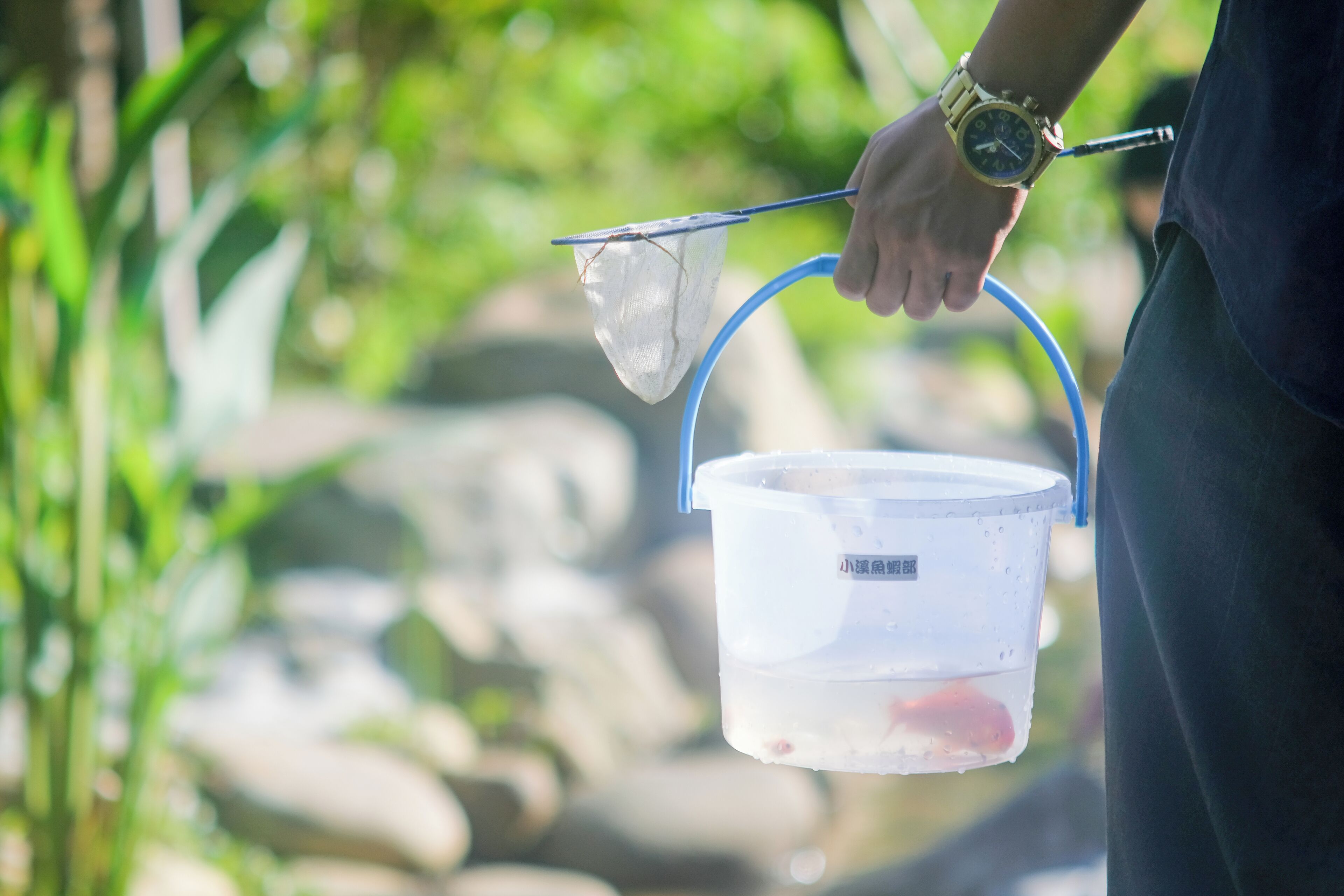 A person holding a net with a bucket containing fish.