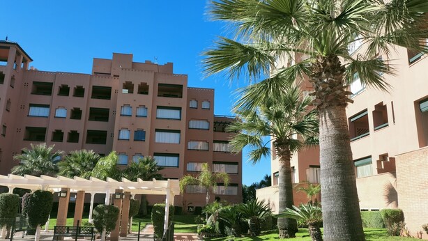 Un patio con una palmera, un pérgola y un sendero de ladrillo.