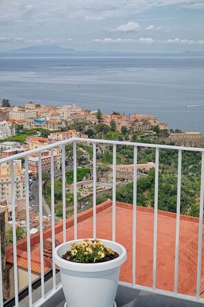 Vista desde la habitación