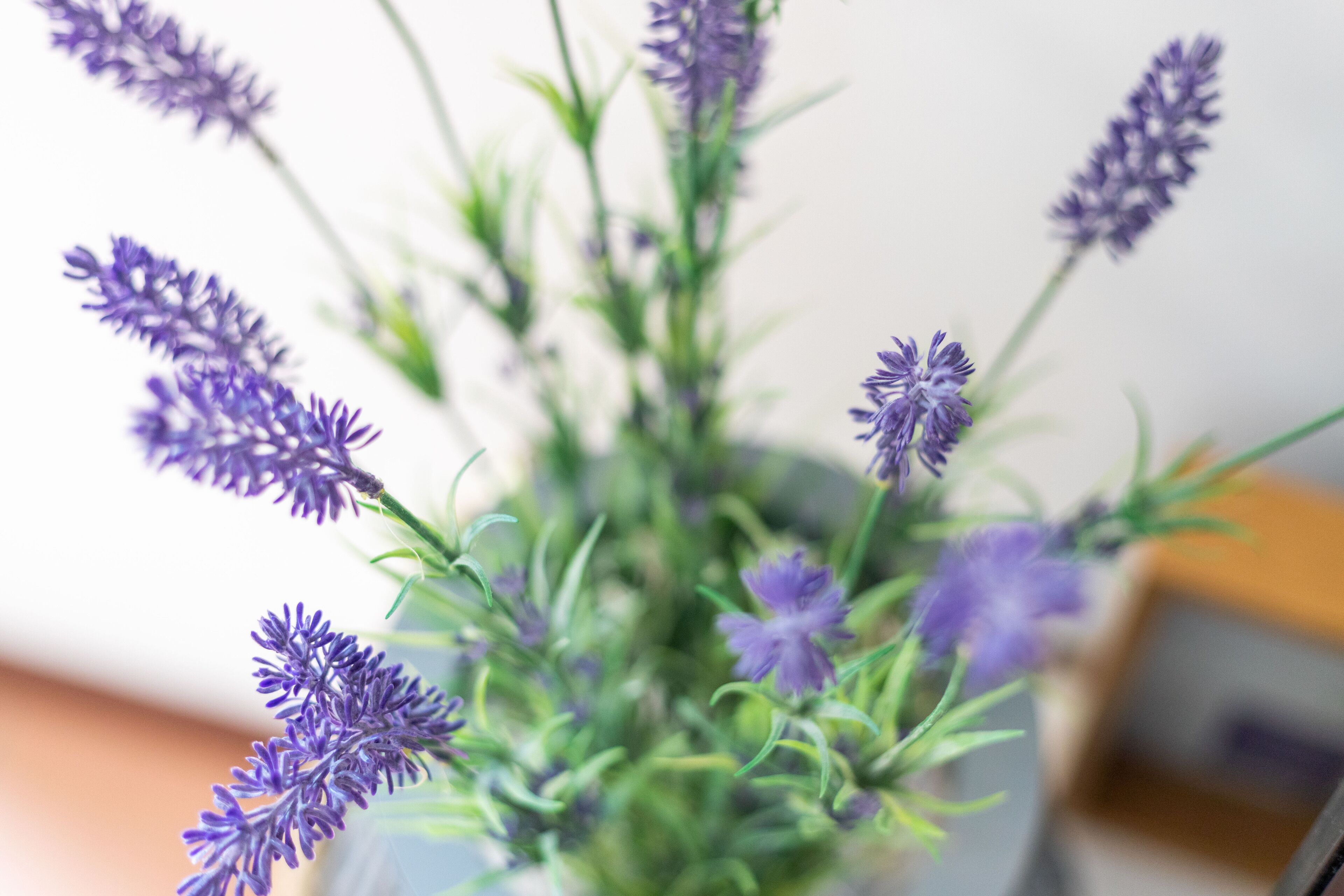 A close-up of lavender flowers in a vase.