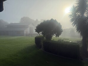 Property grounds - Peppergrove Cottage (Berry)