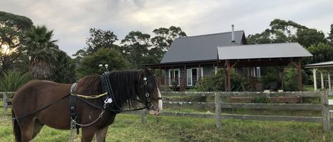 Enceinte de l’hébergement