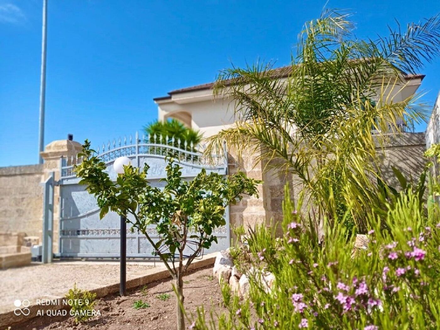 Parco della struttura