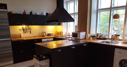 Classic Copenhagen City Apartment