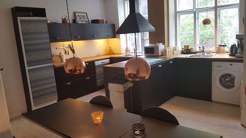 Classic Copenhagen City Apartment
