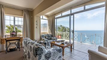 TV, fireplace, books