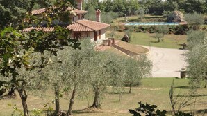 A villa with a tiled roof, surrounded by olive trees and a swimming pool. - La Casetta nel Bosco (Sinalunga)