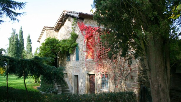 A stone building with ivy-covered walls, a wooden door, and a window with shutters. - Olivo (Arezzo)