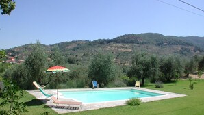 A rectangular swimming pool with lounge chairs and an umbrella, surrounded by a well-maintained lawn and trees, with hills in the background. - Olivo (Arezzo)