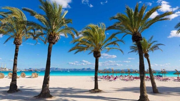 A beach with palm trees and a clear blue sky. - Apartment near beach and nightlife, perfect for fun holidays (Alcúdia)