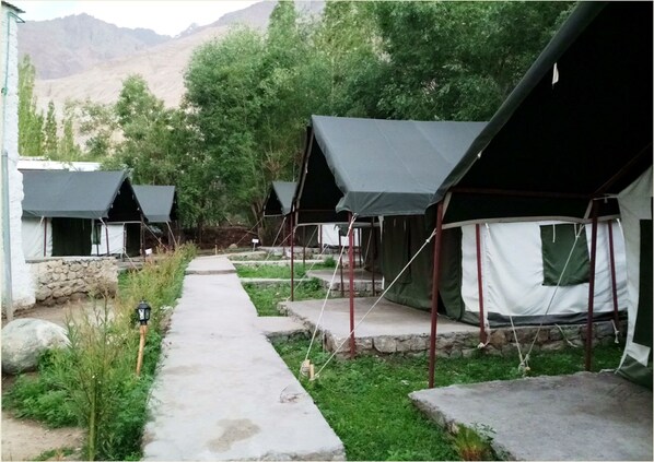 Front of property - TIH Nubra Leisure Camp - Hunder (Leh)
