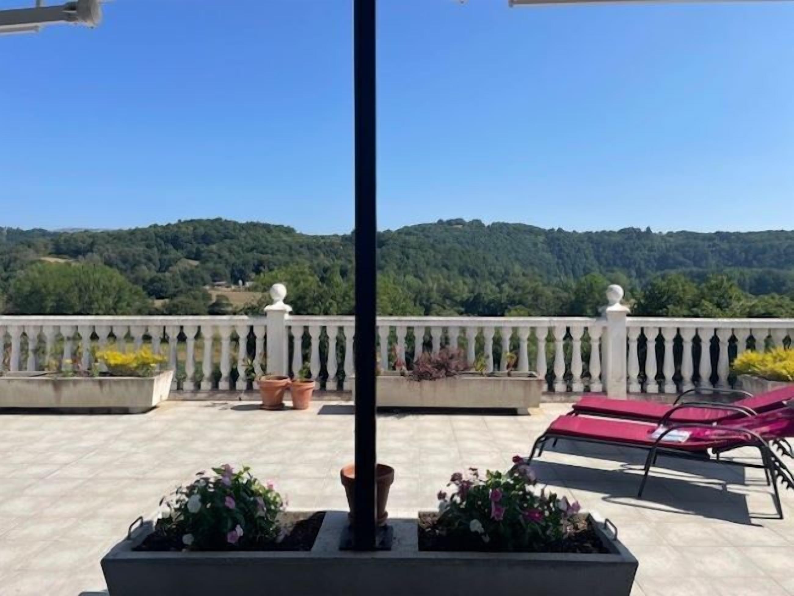 A terrace with a view of a forested hill, a balustrade, and two potted plants.
