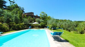 A rectangular swimming pool with clear blue water, surrounded by a stone deck. There are several lounge chairs with blue cushions and white frames. The area is lush with greenery, including various bushes and trees.