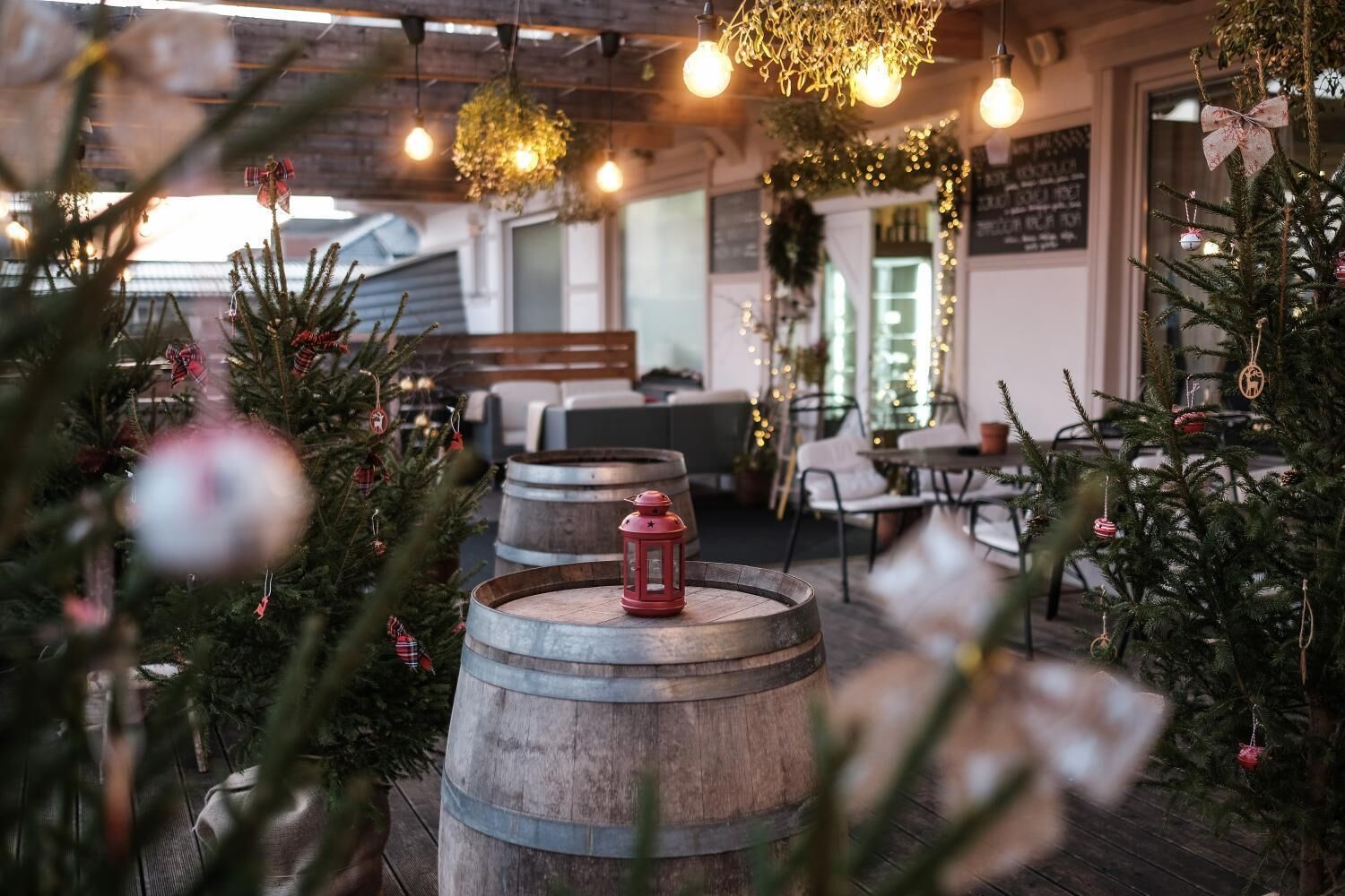 A cozy indoor setting with wooden barrels, Christmas trees, and hanging lights.