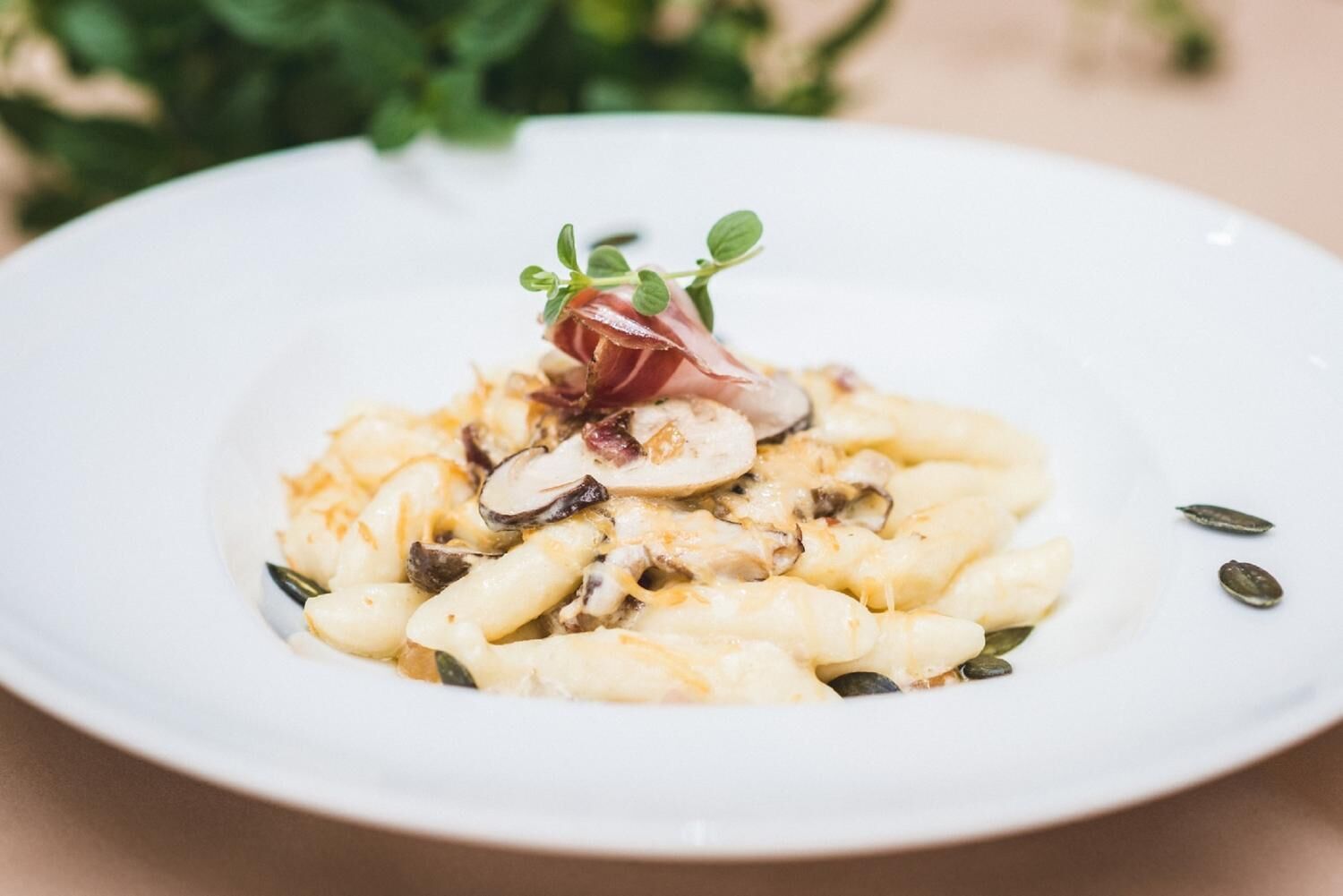 A plate of pasta with mushrooms and a garnish of microgreens and a red leaf.