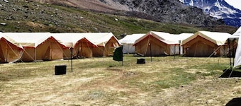 Marmote Camps - Sarchu