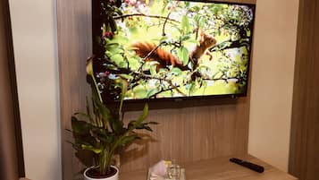 Chambre Simple | Télévision