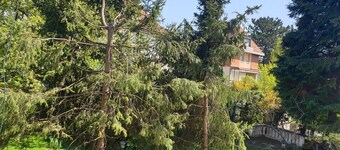 Relax City Apparment