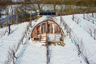 Luxury Cosy Vineyard Eco Cabin: 'The Grape Escape' near Halesworth & Southwold