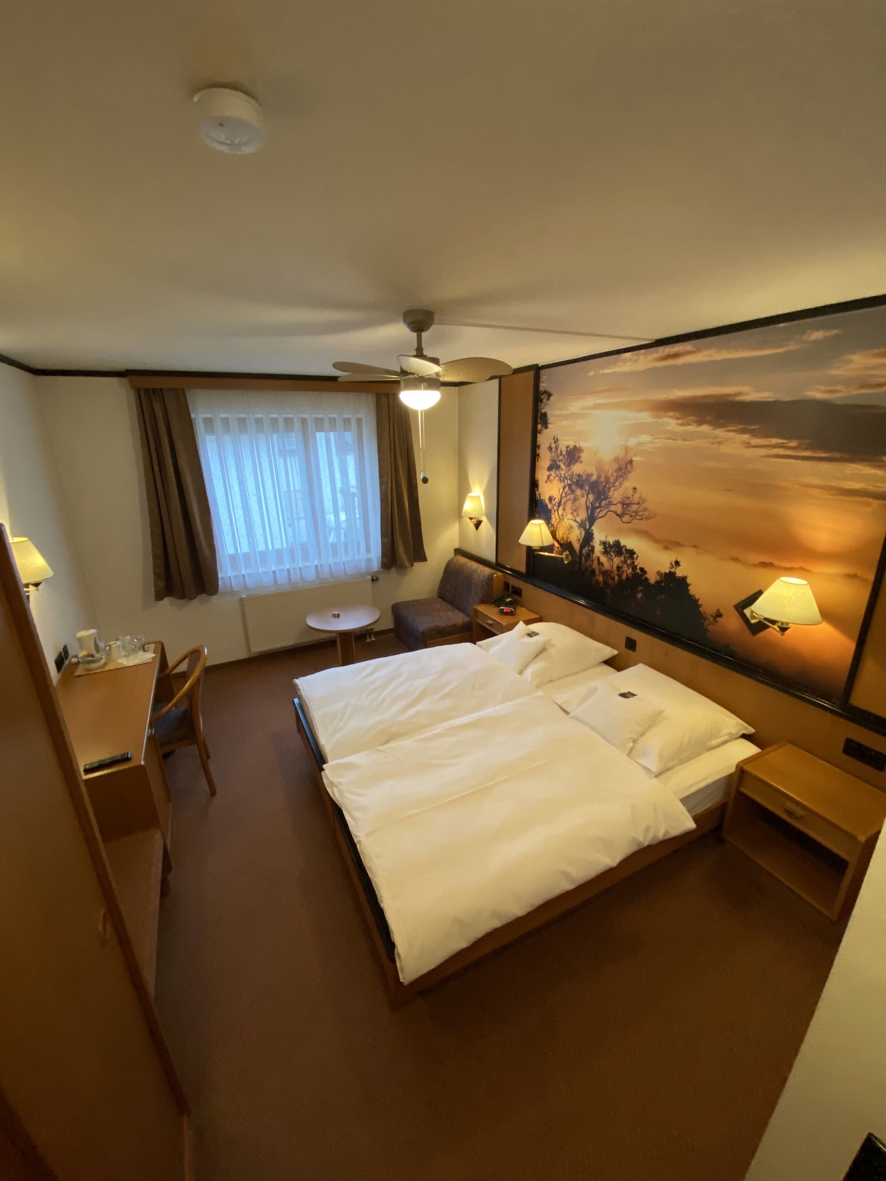 Business-Doppel- oder -Zweibettzimmer | Minibar, Schreibtisch, laptopgeeigneter Arbeitsplatz