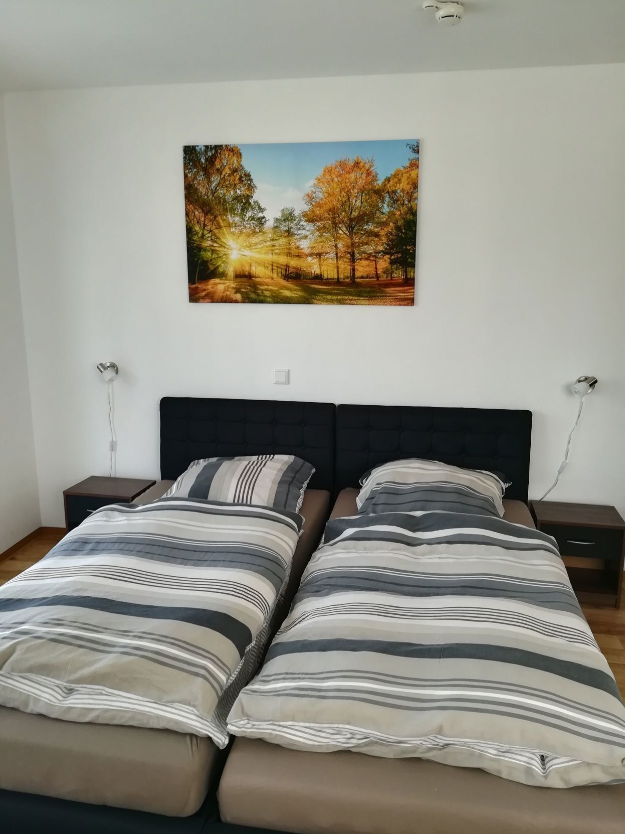 Down comforters, desk, blackout drapes, soundproofing