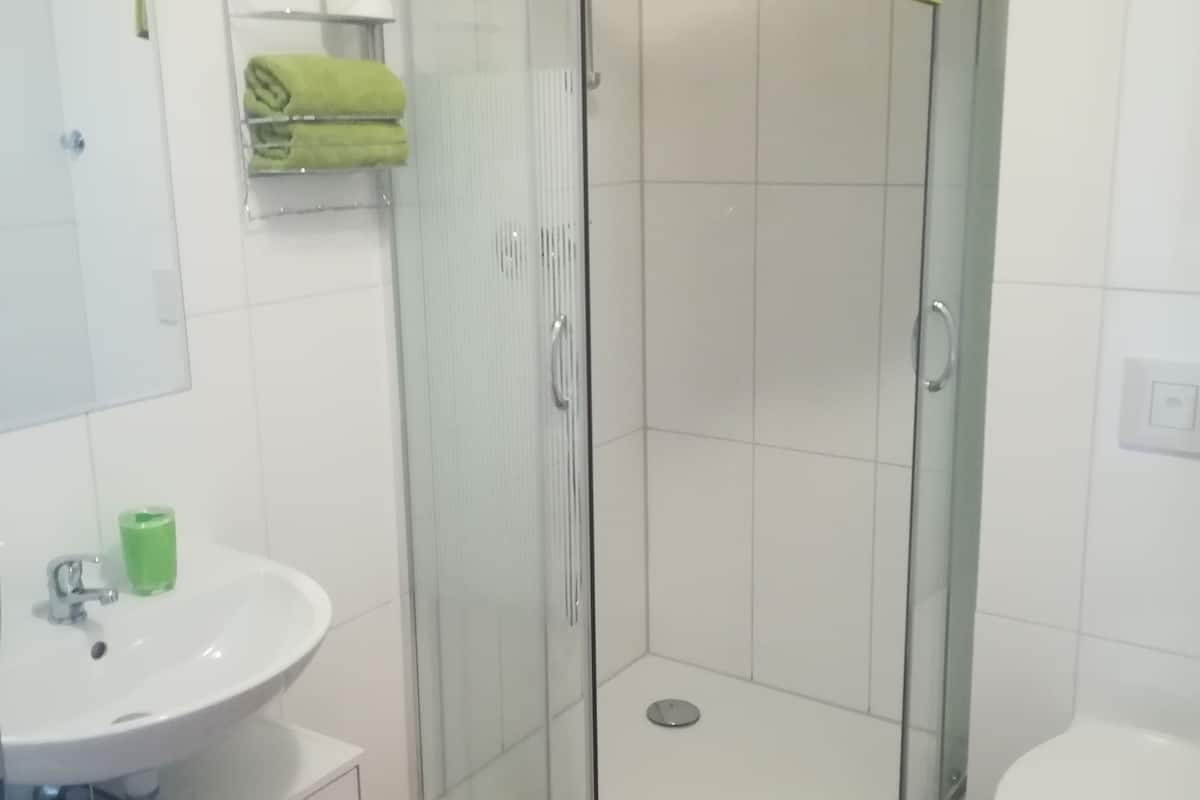 shower, free toiletries, hair dryer, towels