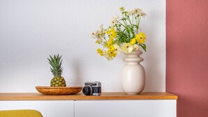 Comfort Studio (Nest) | Living area - BodenseeApartments (Friedrichshafen)