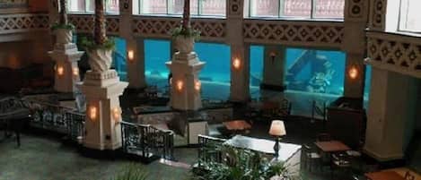 تناول الطعام