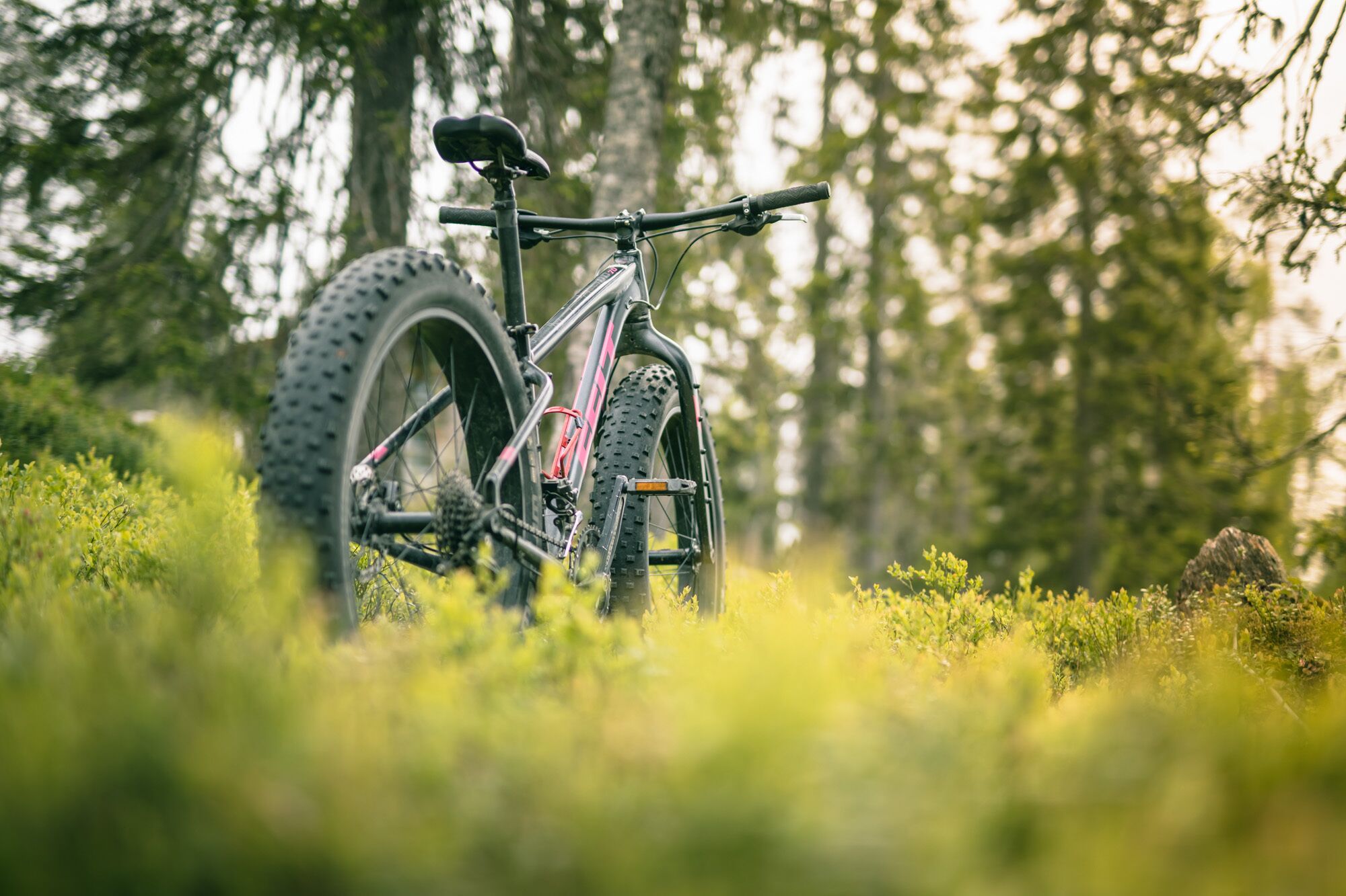 自転車