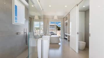 Shower, hair dryer, bidet, towels