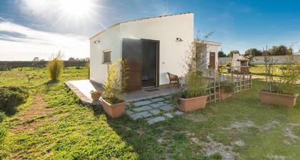 1507 Mono Santa Chiara by Barbarhouse