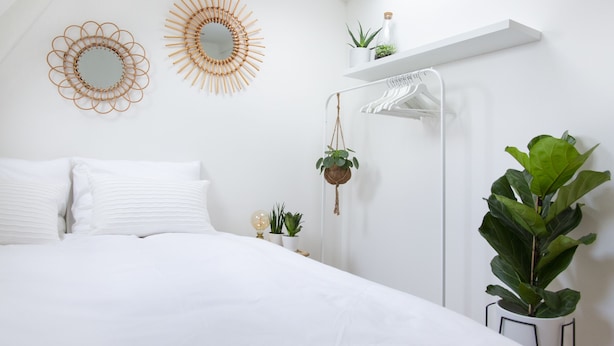 Un dormitorio con cama, ropa de cama blanca, dos espejos en la pared, una planta colgante, un estante blanco con una planta, y un armario blanco con perchero.