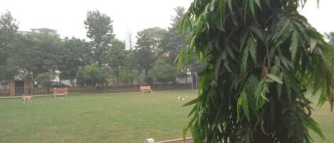 Enceinte de l’hébergement