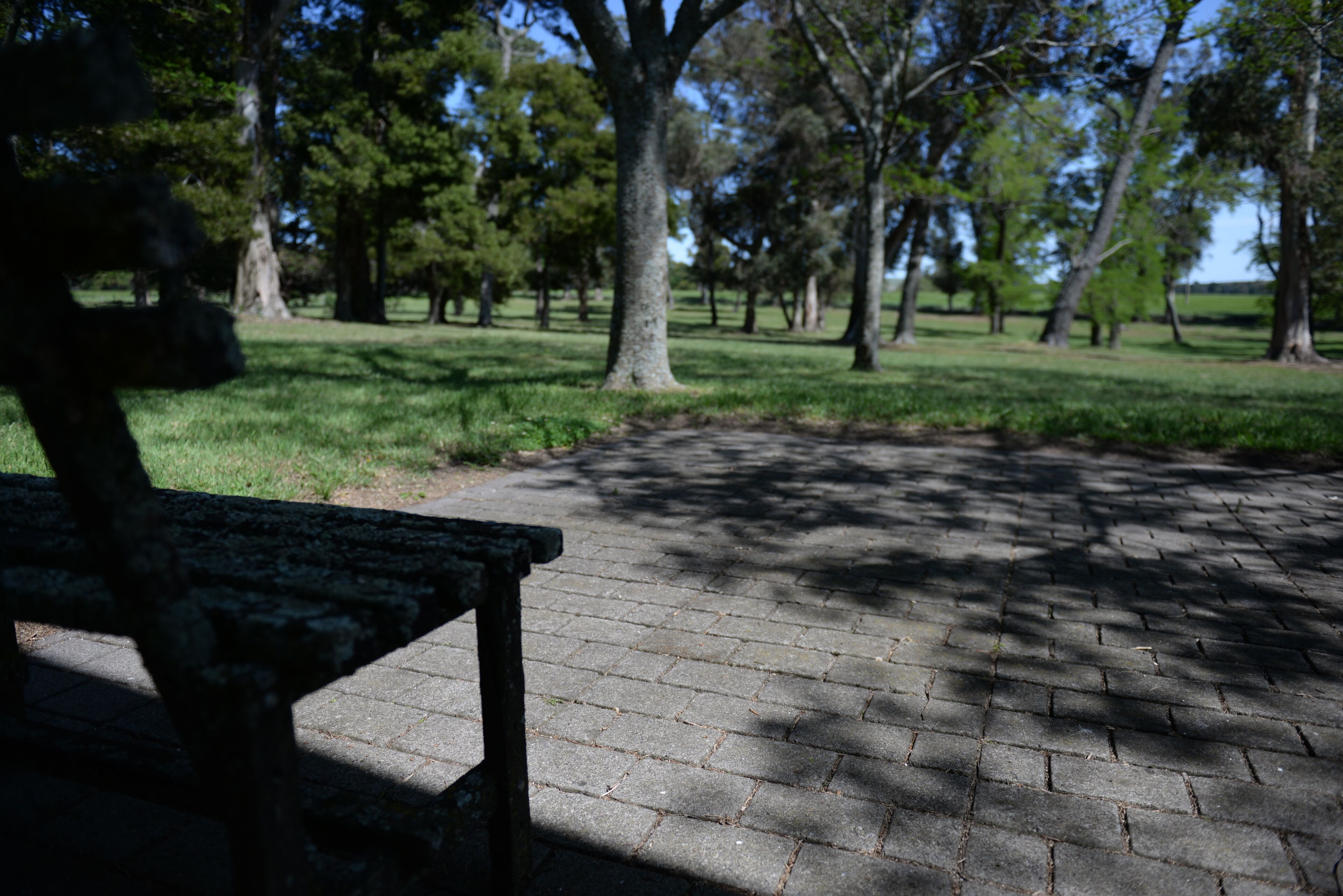 Un parque con un sendero pavimentado y un banco.