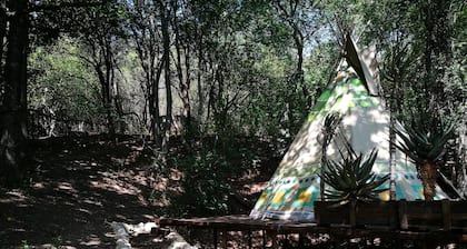 Magical Teepee Experience Hogsback - Glamping