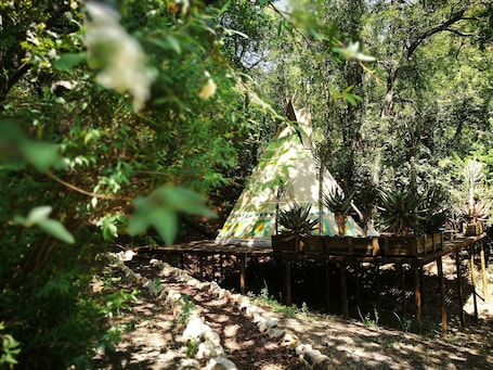 Exterior. Magical Teepee Experience Hogsback - Glamping