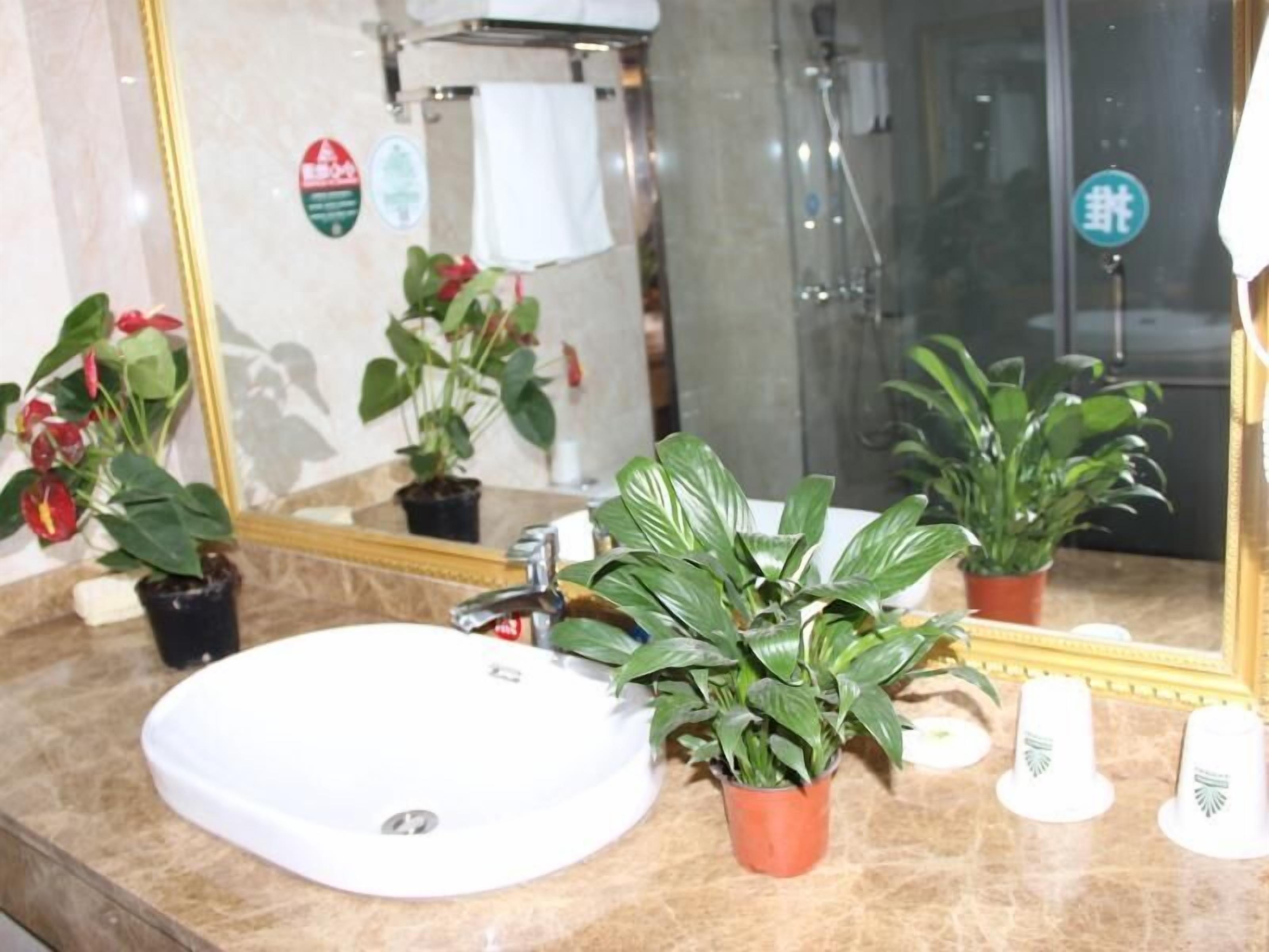 Shower, hair dryer