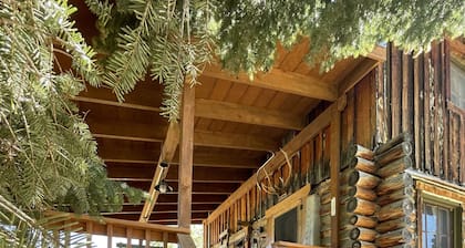 Cassidy Homestead Guest Cabin