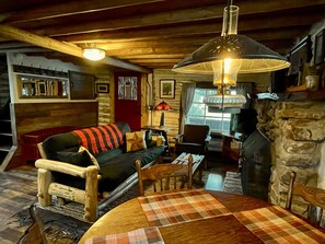 Smart TV, fireplace, books