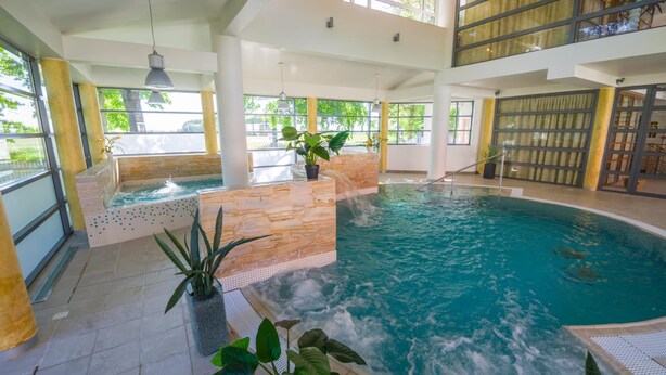 An indoor swimming pool with a stone-tiled edge, surrounded by large windows and indoor plants. - Saka Cliff Hotel & SPA (Saka)