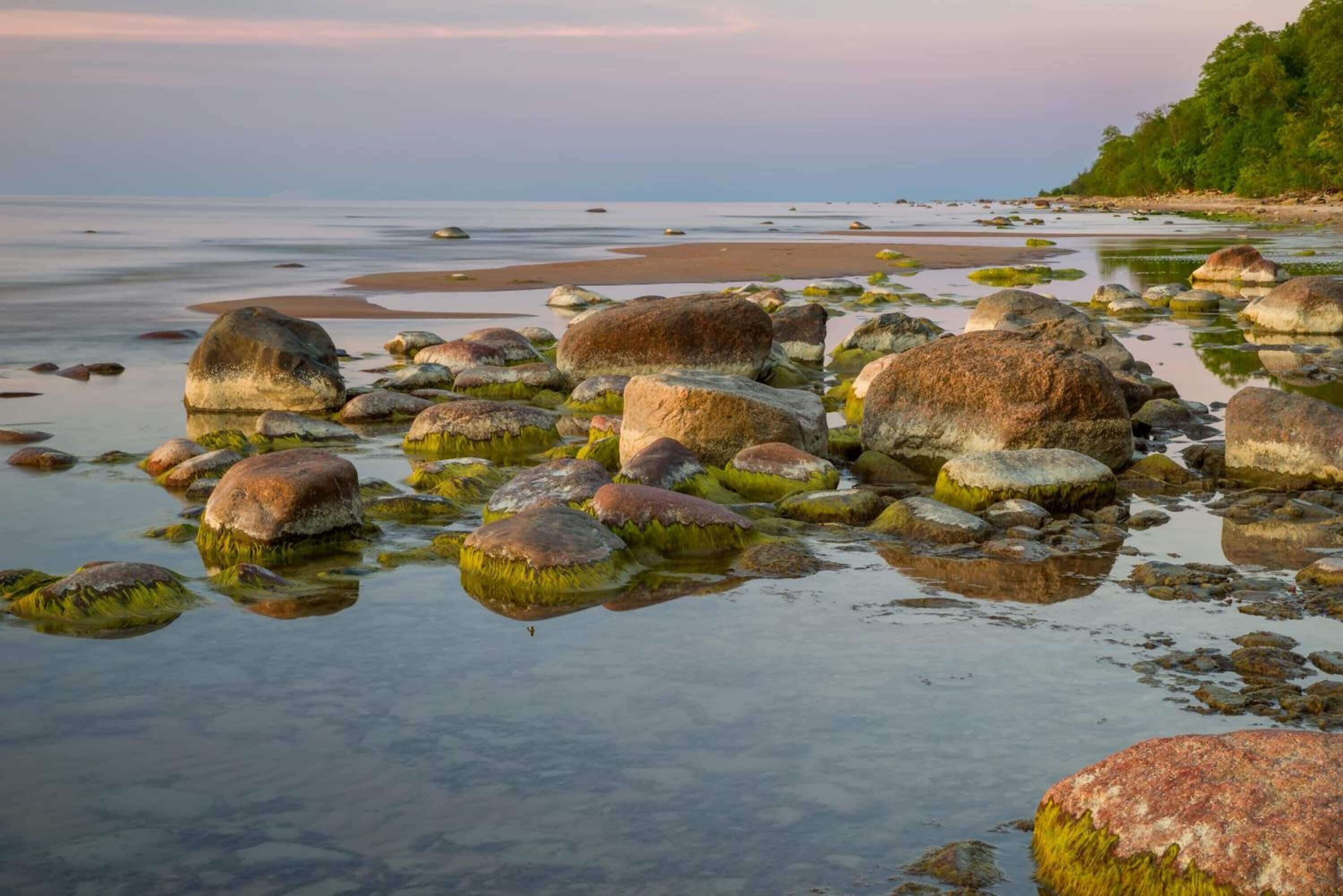 Une côte rocheuse parsemée de gros blocs et bordée d’une eau calme.