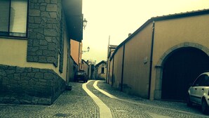 Cour