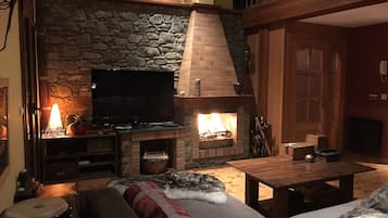 Televisión, chimenea, reproductor de DVD y libros