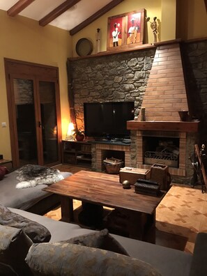 TV, fireplace, DVD player, books