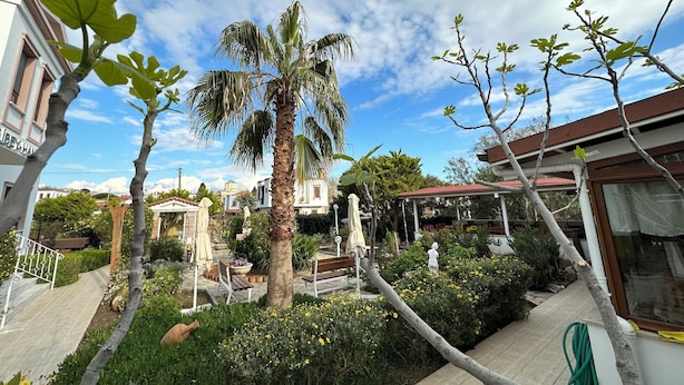A courtyard with a palm tree, benches, and a statue. - Alibeyhan Otel (Ayvalik)