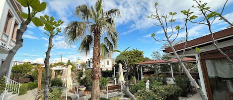 Outdoor banquet area