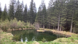 A natural pond surrounded by dense forest and grassy areas. - Preberhütte in Prebertal lies at 1500 meters above sea level (Tamsweg)